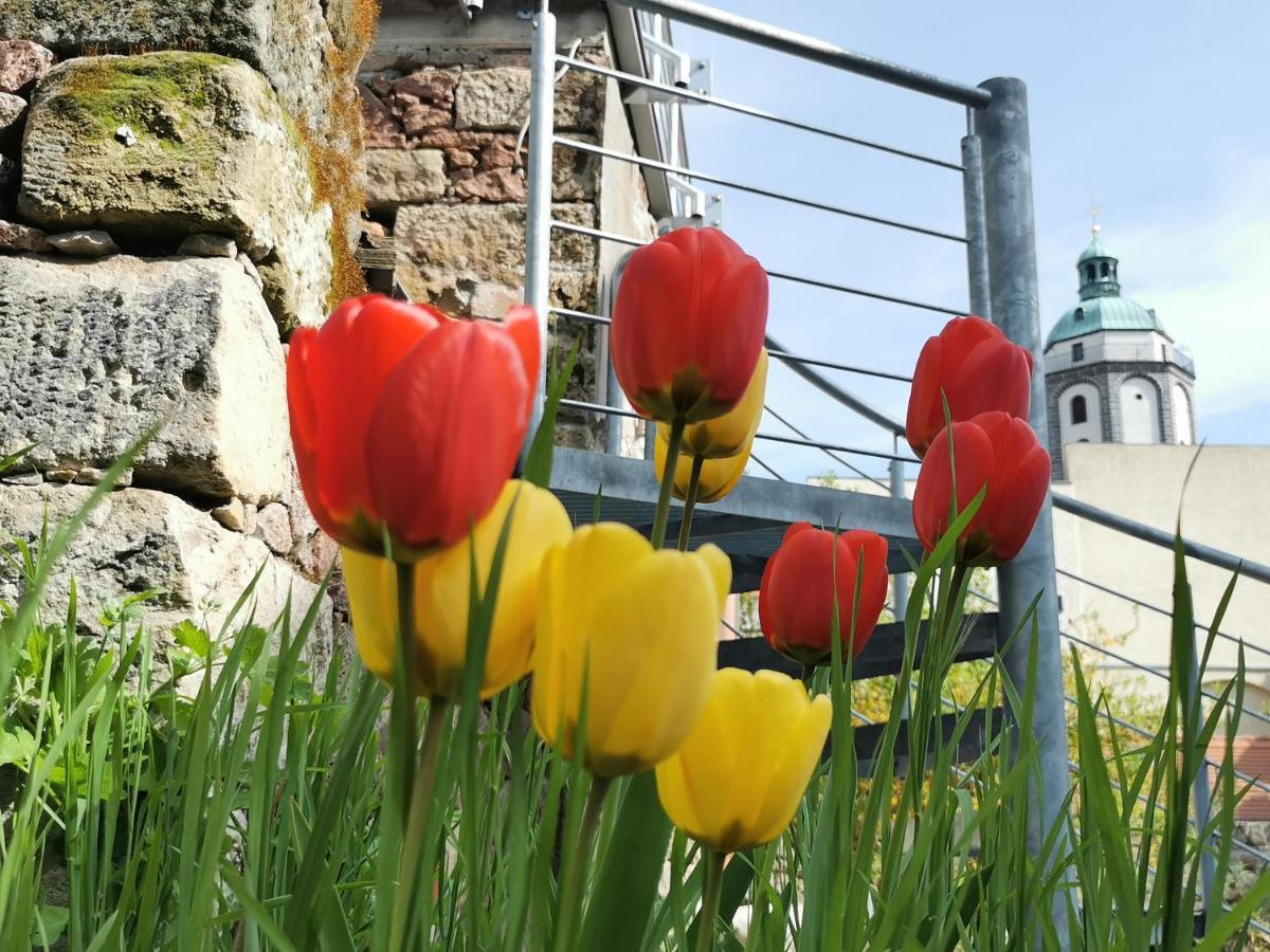 Fynbos Studio Dg In Der Altstadt, Frauenkirchenblick, Parkplatz Meißen المظهر الخارجي الصورة